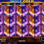 Wolf Gold, Petualangan Serigala di Tengah Alam Penuh Emas