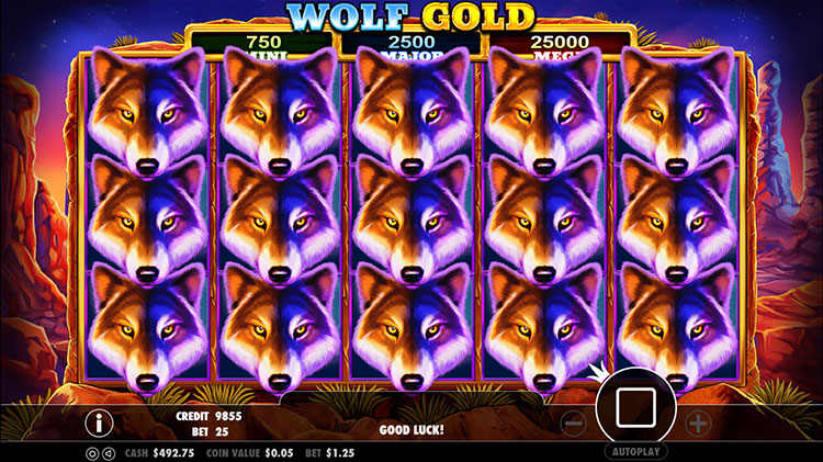 Wolf Gold, Petualangan Serigala di Tengah Alam Penuh Emas